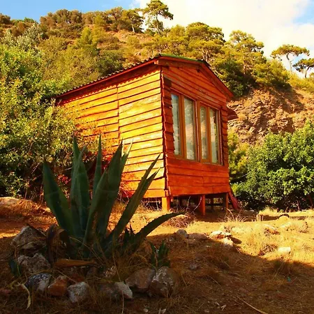 Campsite Cosmos Lounge Fethiye