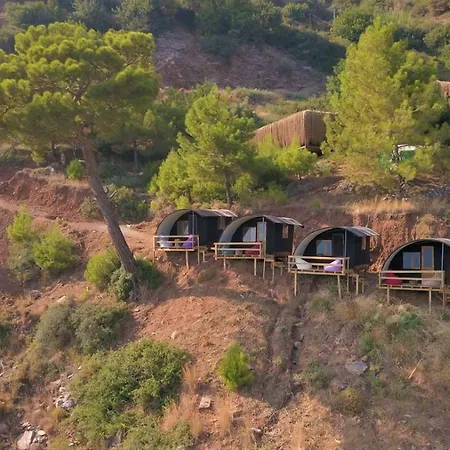 Cosmos Lounge Campsite *