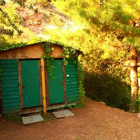 Cosmos Lounge Campsite *
